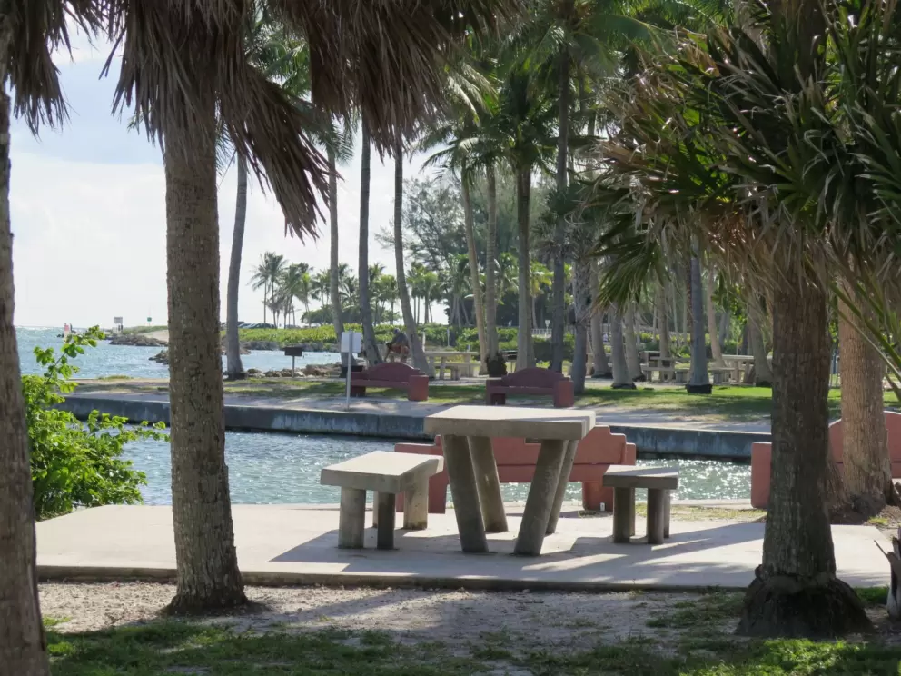 Picnic table at the far west end of the park.