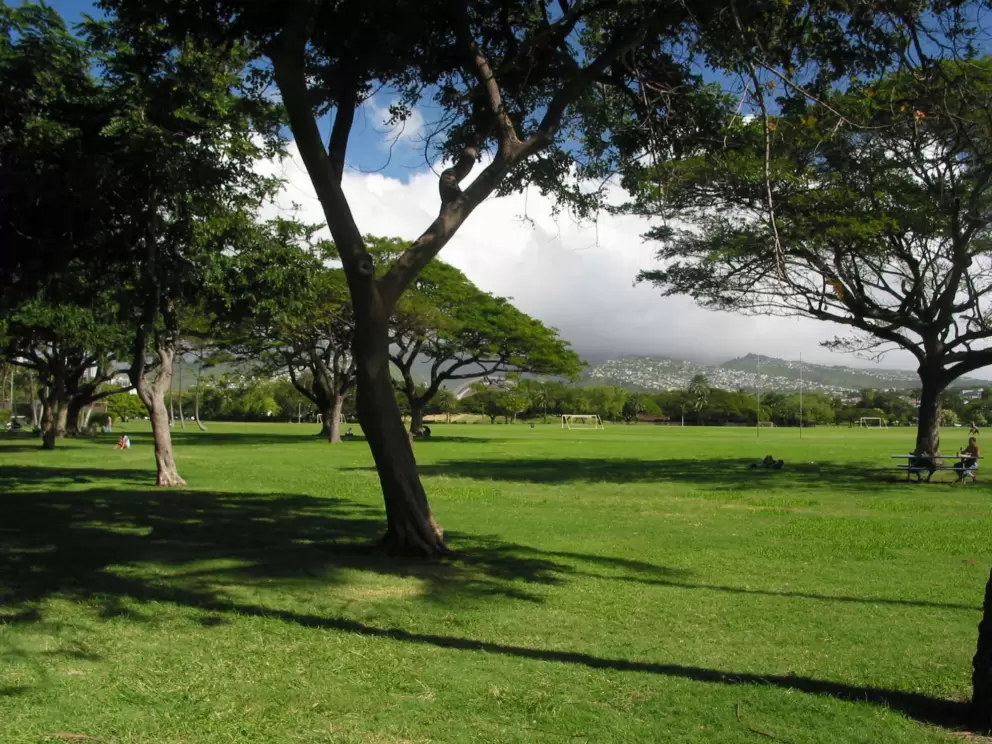 Kapiolani Park stretches out far before your eyes.