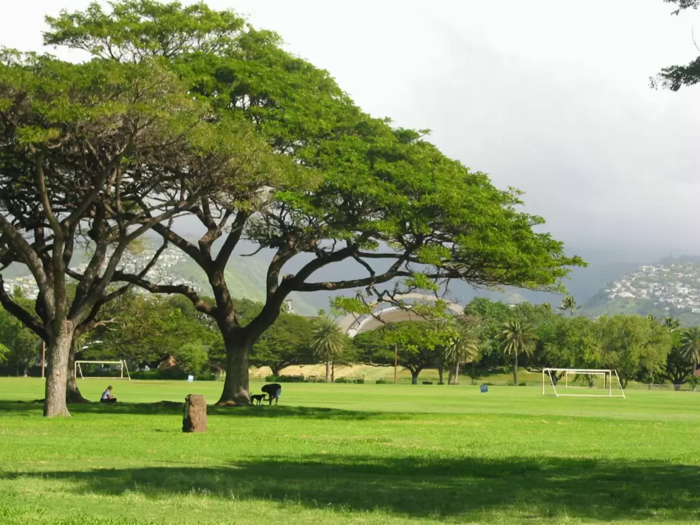 The nicely-shaped curve of Waikiki Shell, an outdoor performance venue, can be seen from Kapiolani Park.