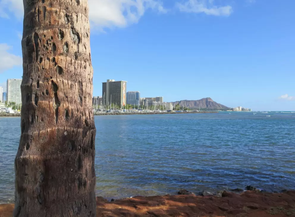Looking toward Diamond Head.