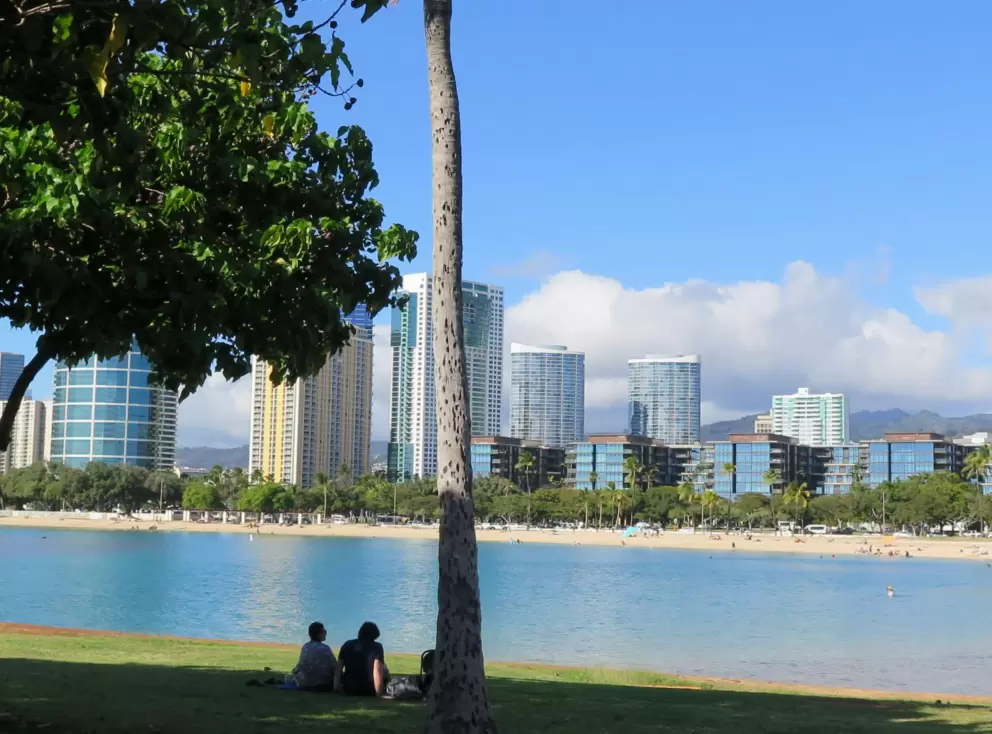 Picnic with view of the water and people having fun at the beach.
