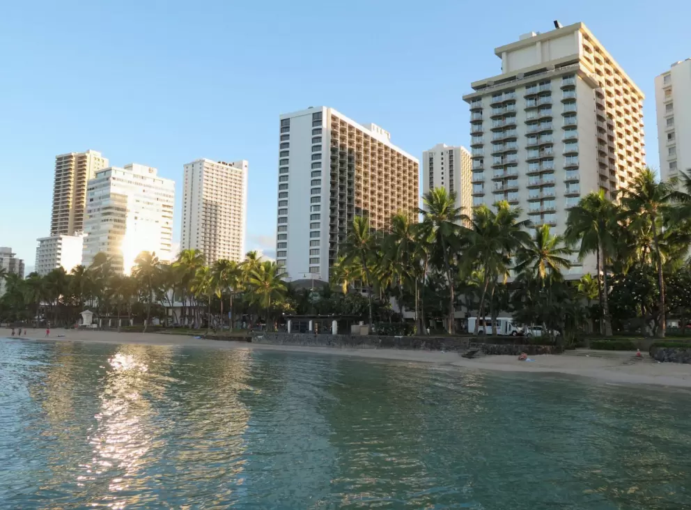 The ocean water swimming pool and the coconut trees that line the beach.