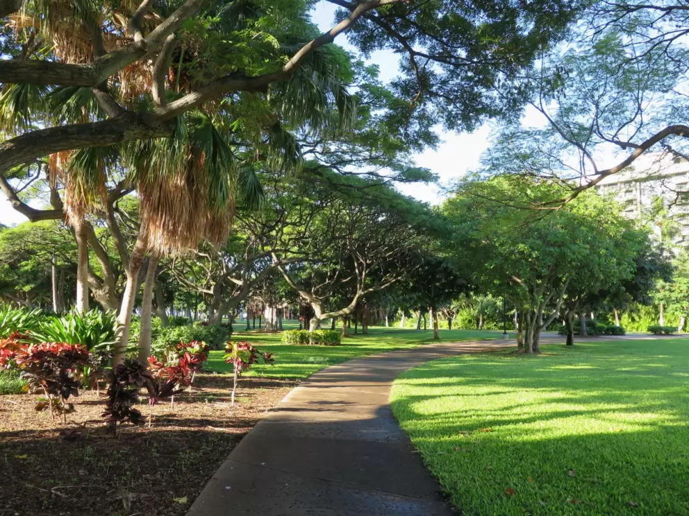 Shady path.