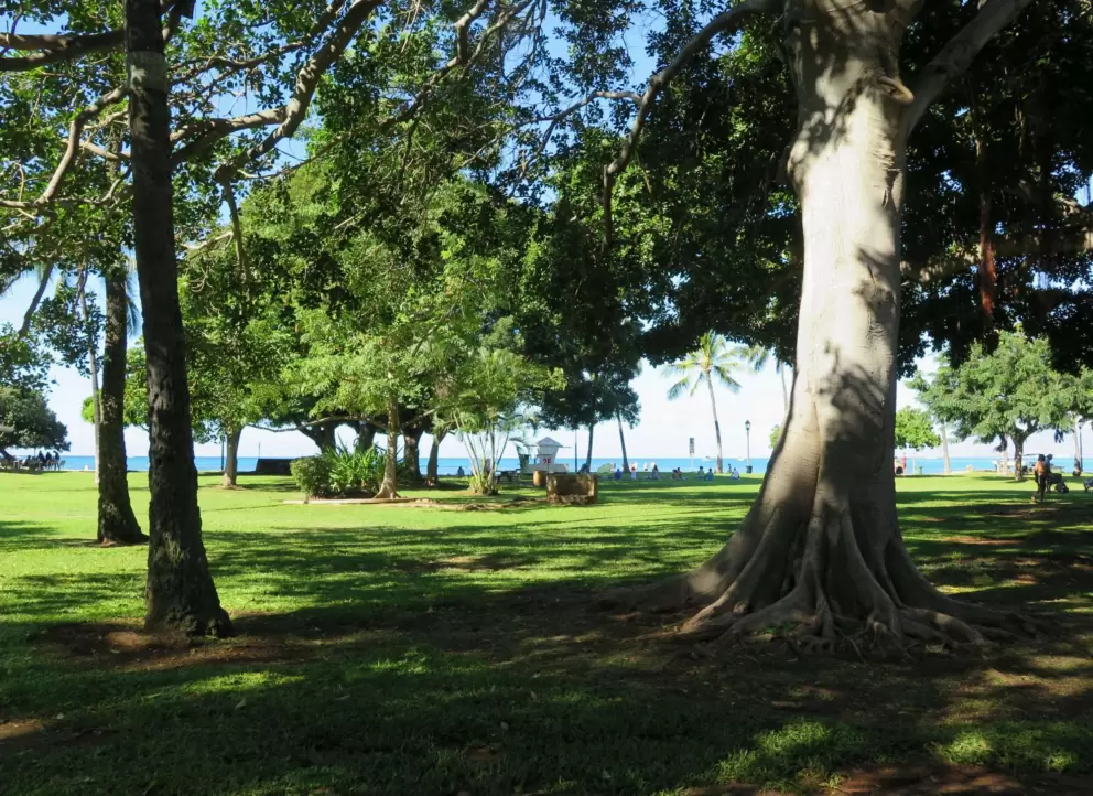 San Souci State Park, which is a gorgeous lawn by the sea, just west of Hau Tree Beach.