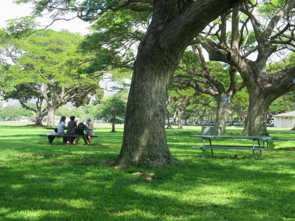 A group of young people eats lunch at a picnic table.