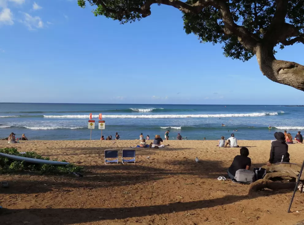 Beautiful Haleiwa Beach during a surf contest.