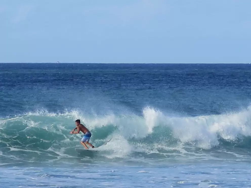 Surfer at Haleiwa Beach.