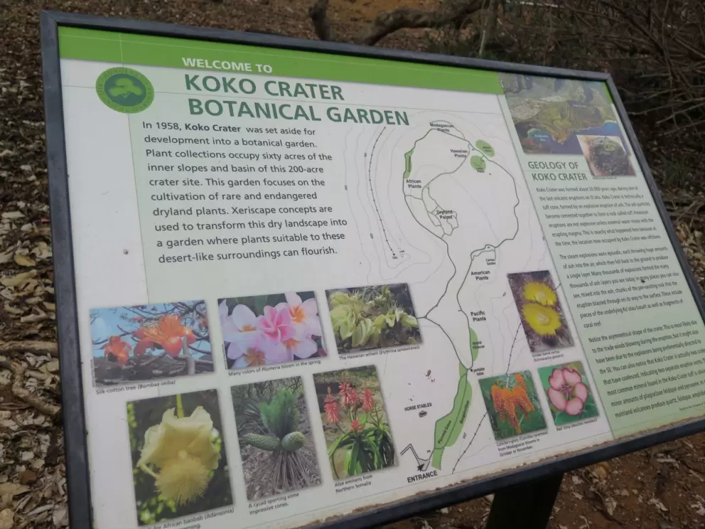 Plaque about silk-cotton tree, plumeria, wiliwili, red 'ilima, golden barrel cactus, Colville's-glory, and aloe. 