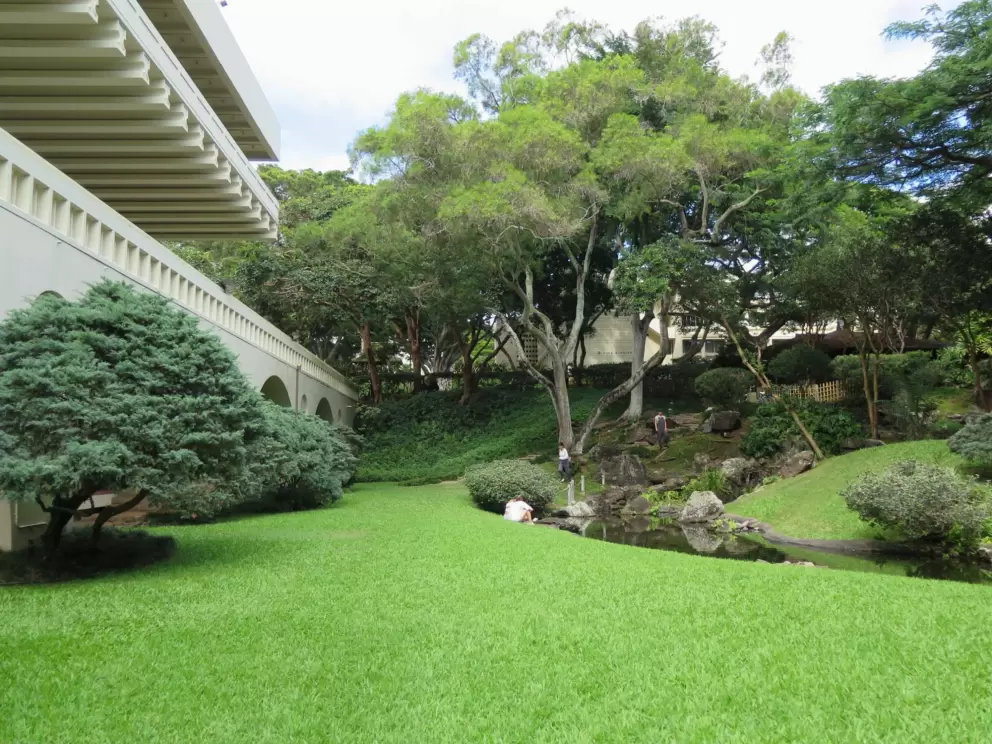 UH Manoa Japanese gardens and campus