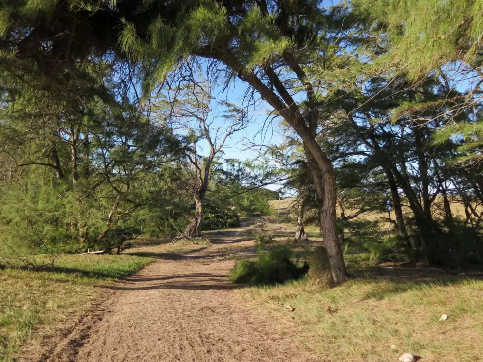The beginning of the path that runs along the golf course.