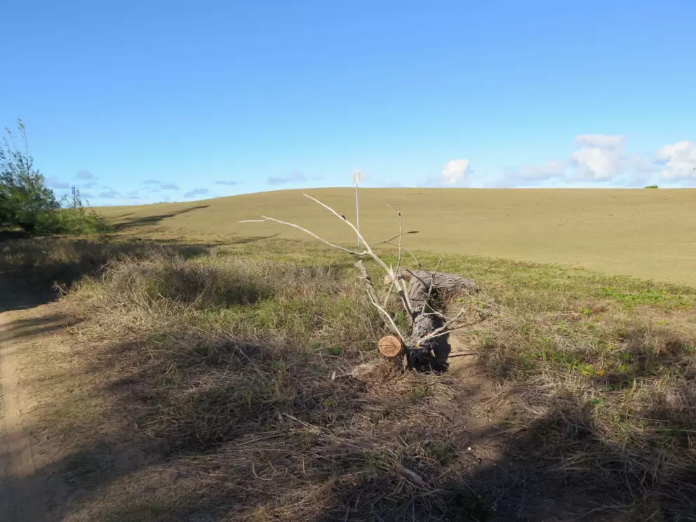 View of the golf course.