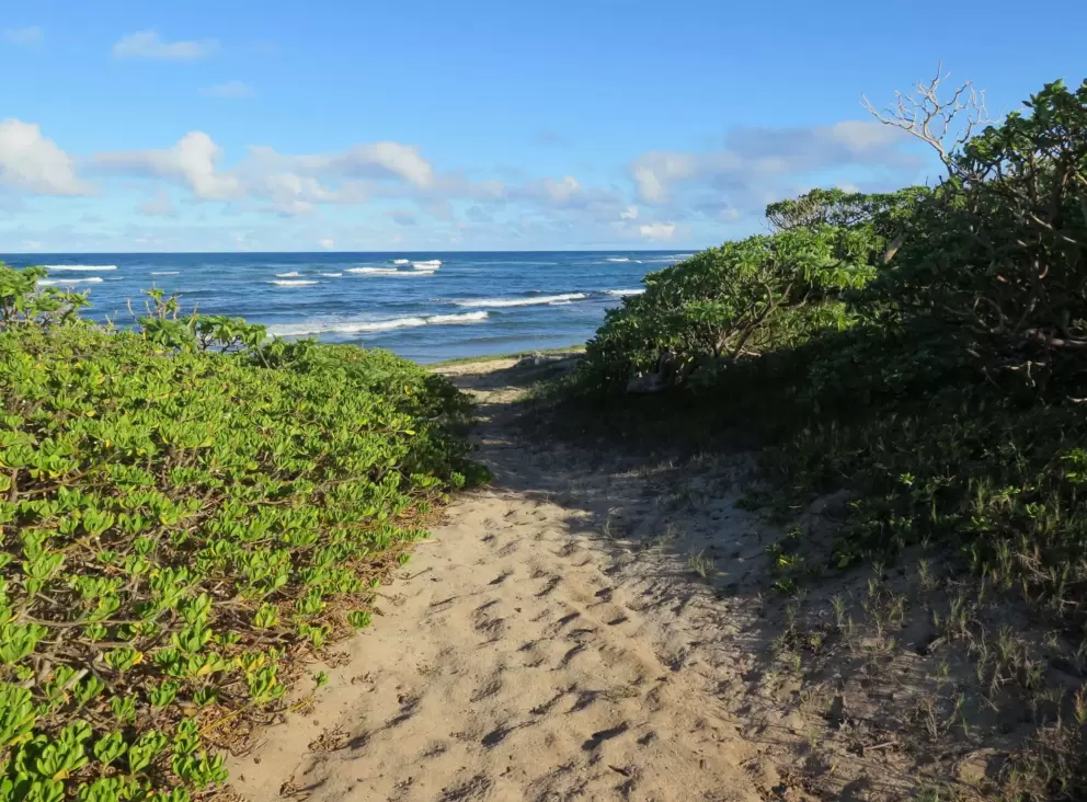 Arriving at the beach.
