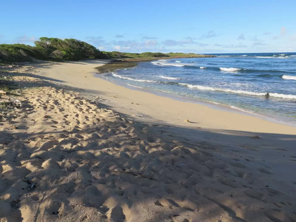 Afternoon shade on the beach.