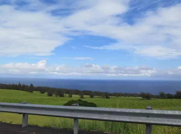 Views along Highway 19.