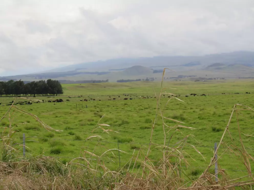 Mana Road in Waimea.