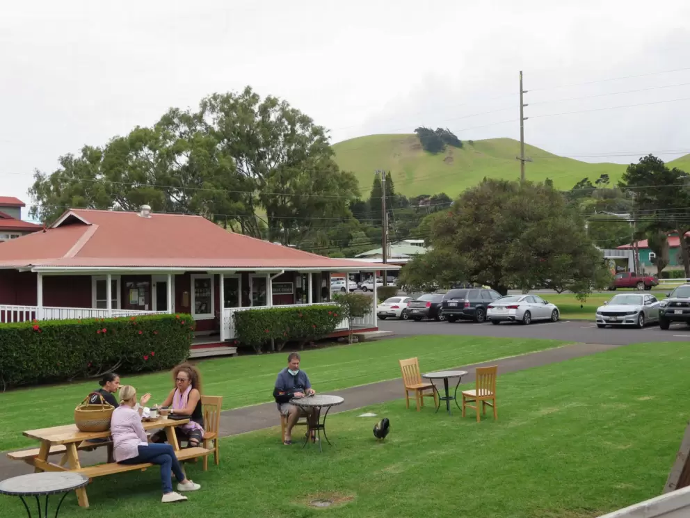 The lawn and views of green hills at Parker Square.