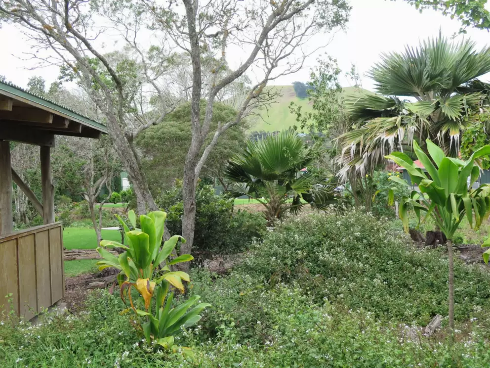 Some plants in the park.