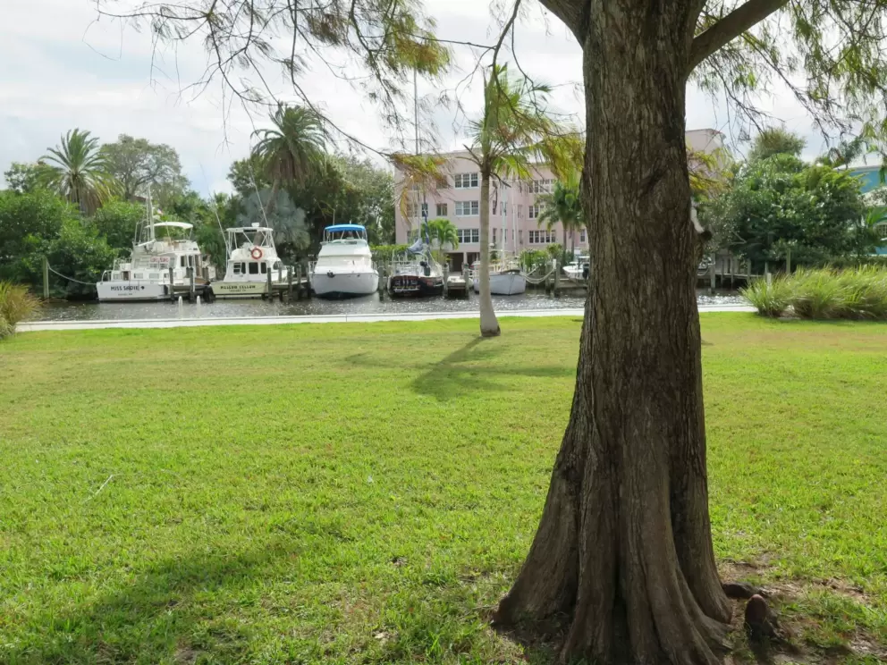 Lawn with view of boats and houses.