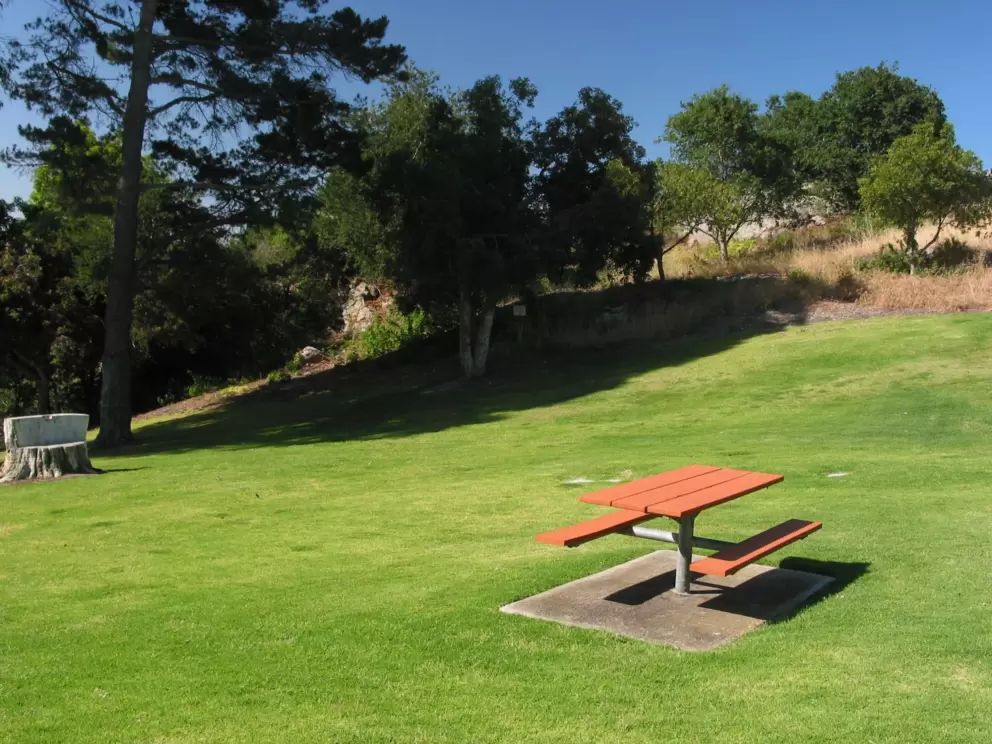 A picnic table and a bench made out of a tree trunk.