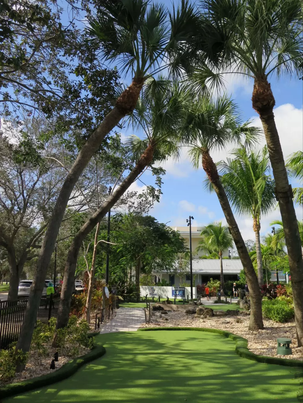 Canopy of palms at Lighthouse Cove Adventure Golf at Abacoa.
