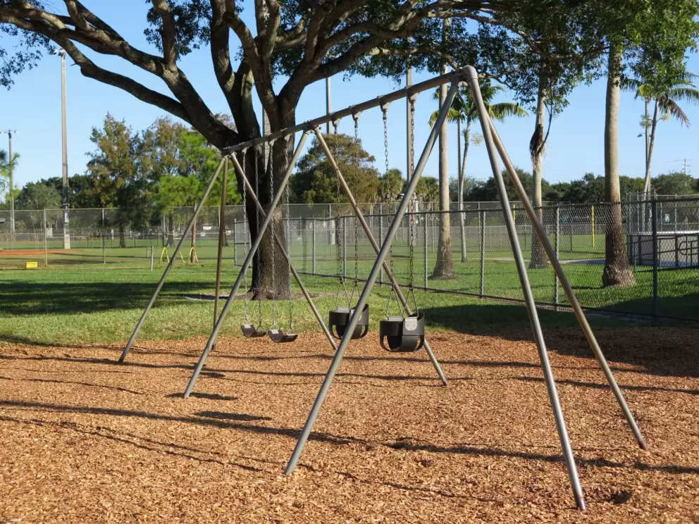 Swings and baby swings beside the tall green playground.