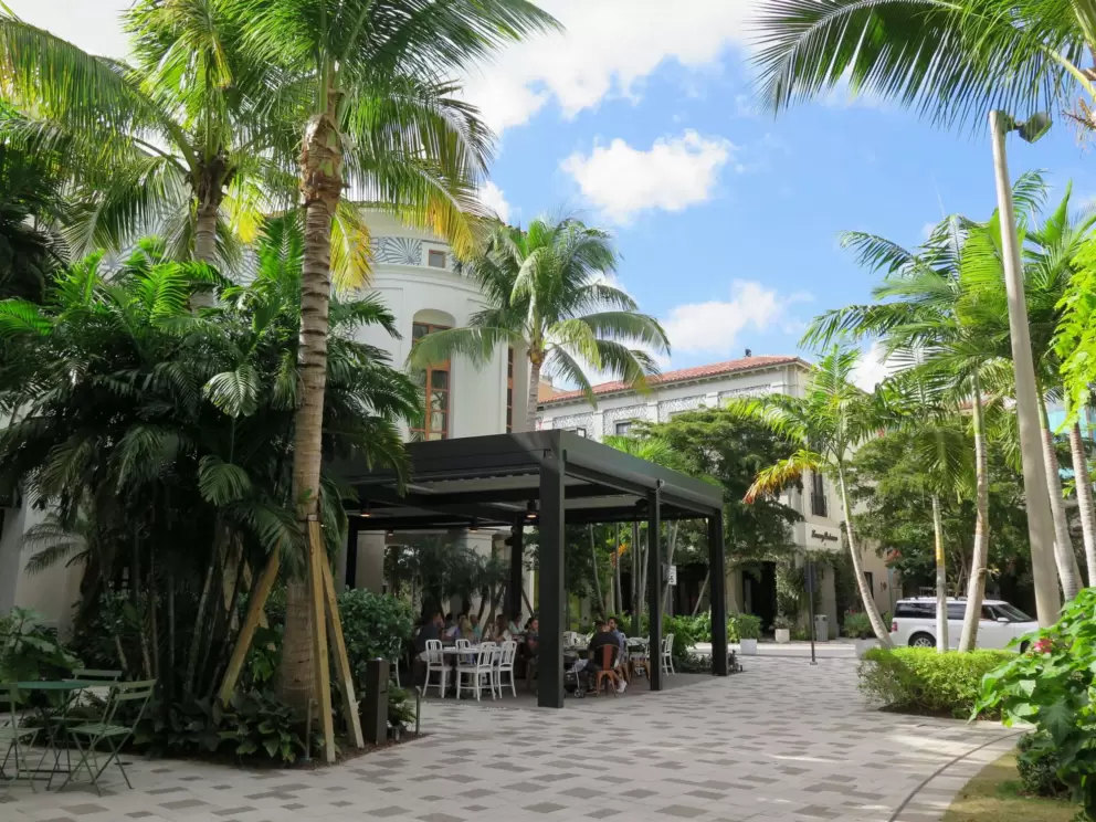 Outdoor seating at a cafe in the main square, plus lovely palms that catch the light.
