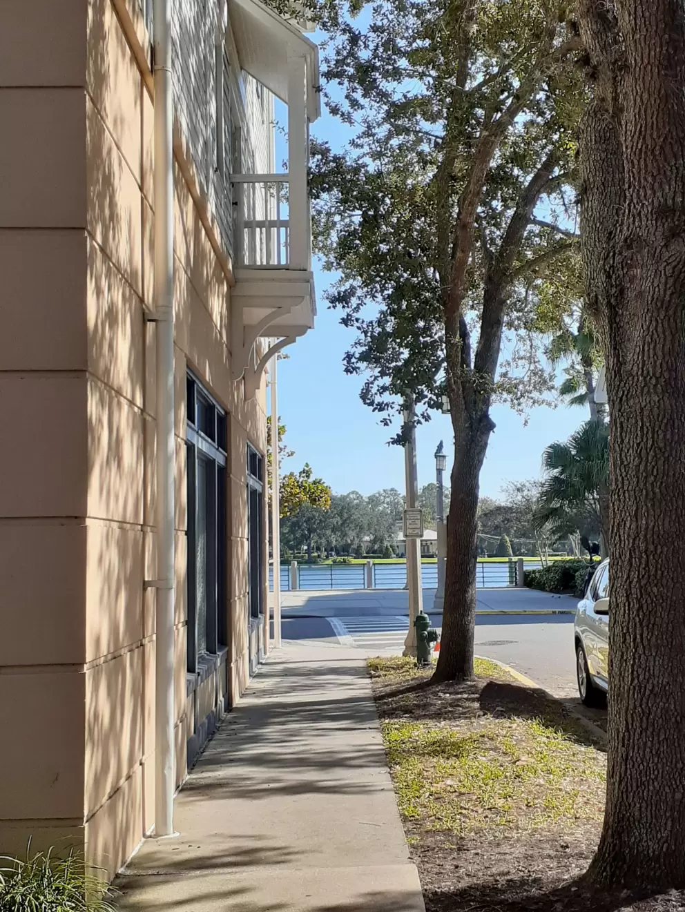 I like this view, where Bloom Street meets the lake.