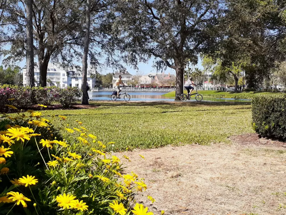 Yellow daisies and bike riders by the lake.