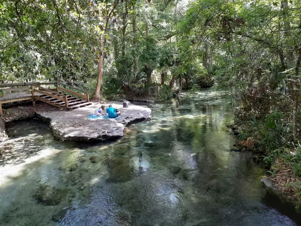 A picnic at the spring, on the rock where you enter the lazy river.