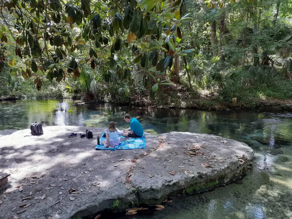 Picnic at the spring.