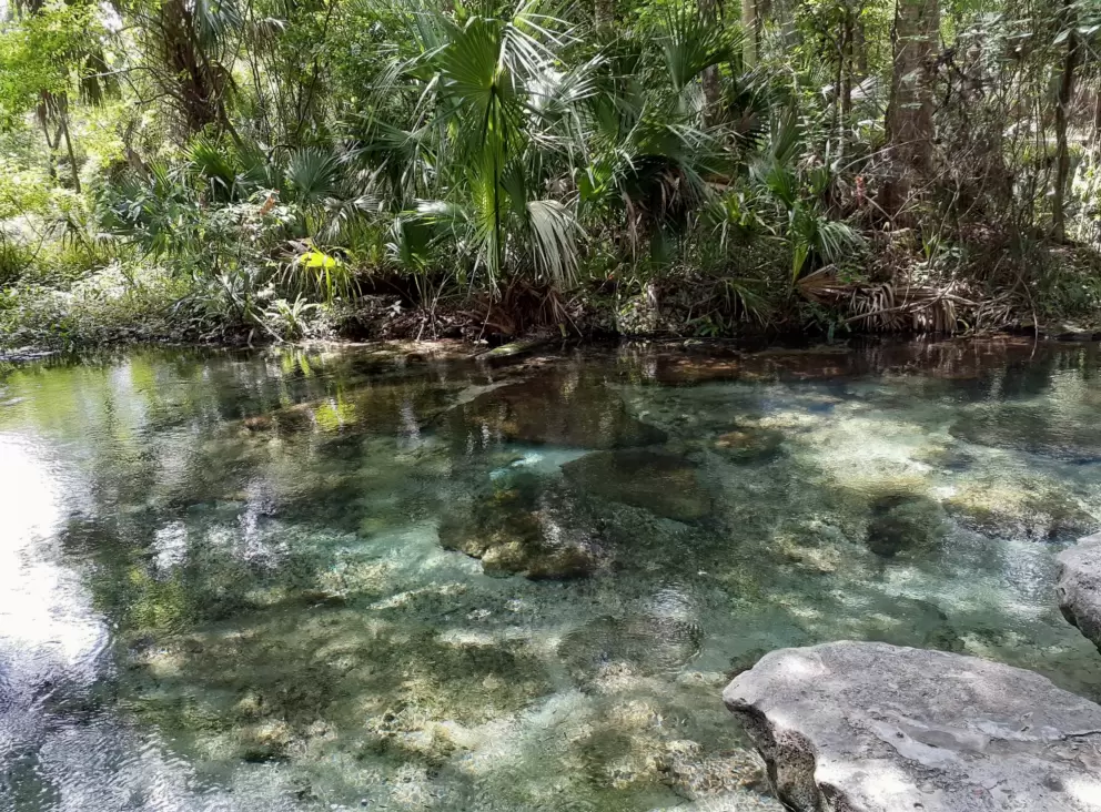 The beautiful color of the water.