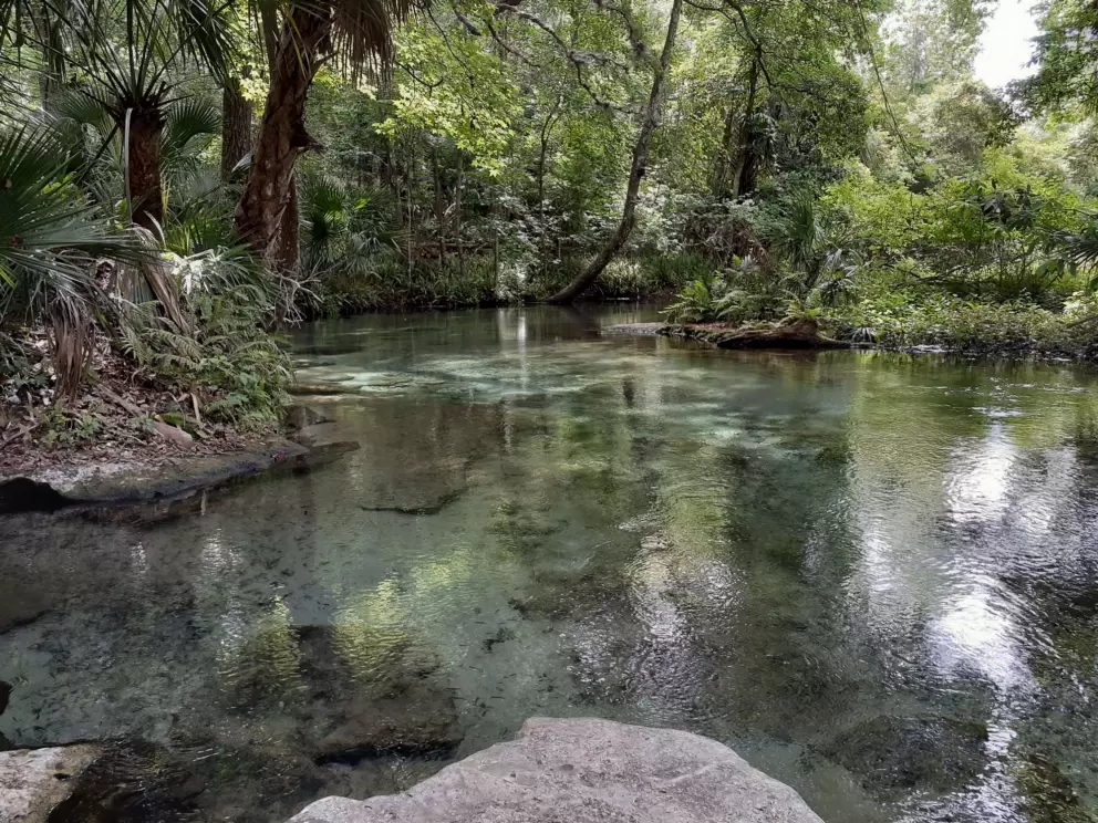 A perfect place...where you enter the water.