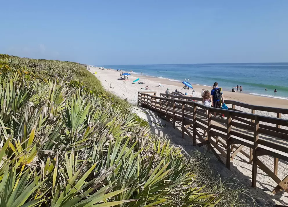 Boardwalk down to the beach.