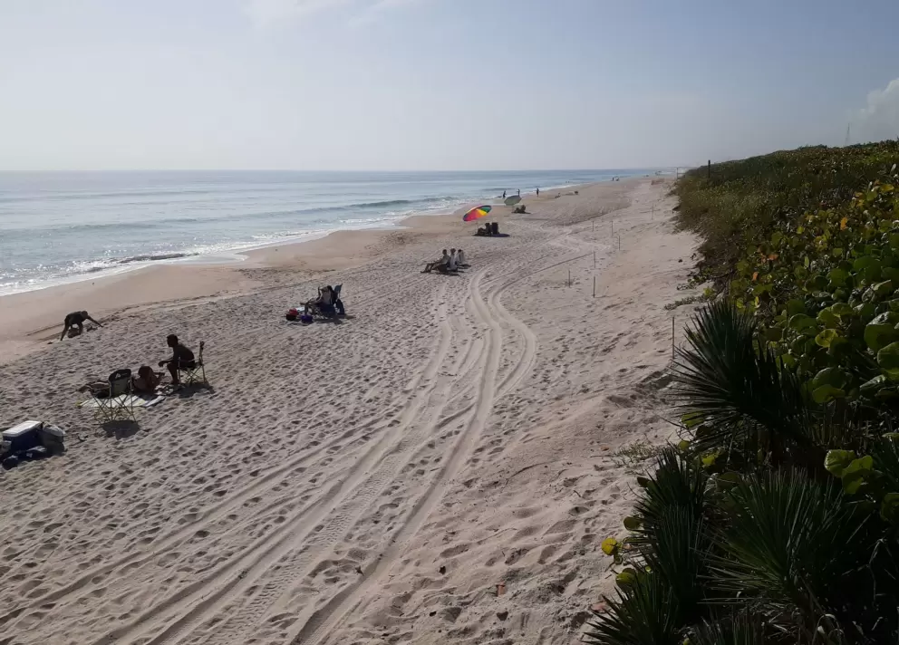 The beach- everyone is set up for the day.