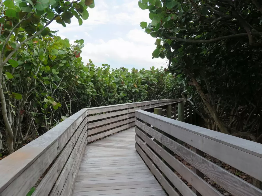 Boardwalk to the cafe.