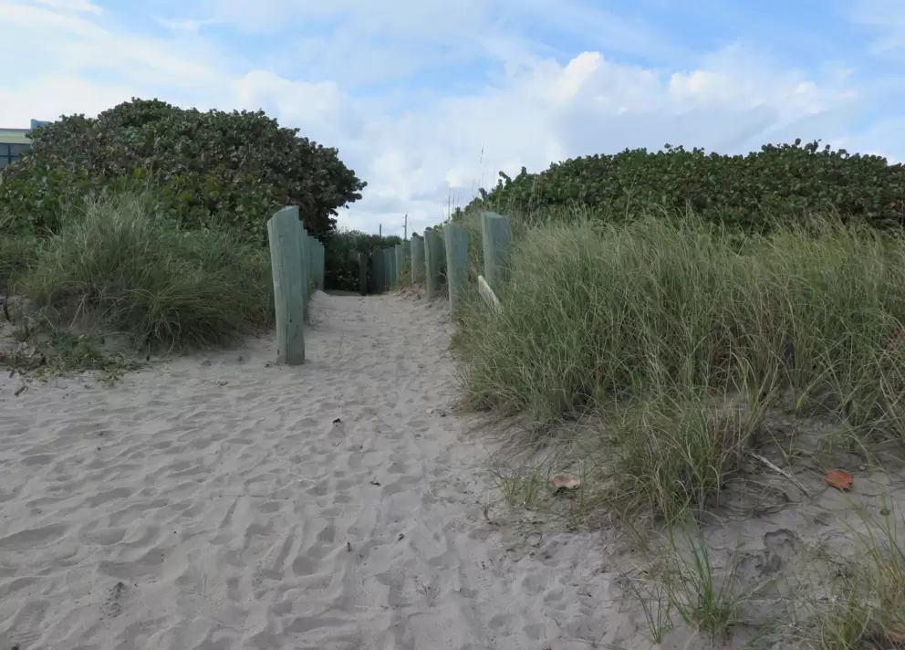 Looking back at the beach entrance.