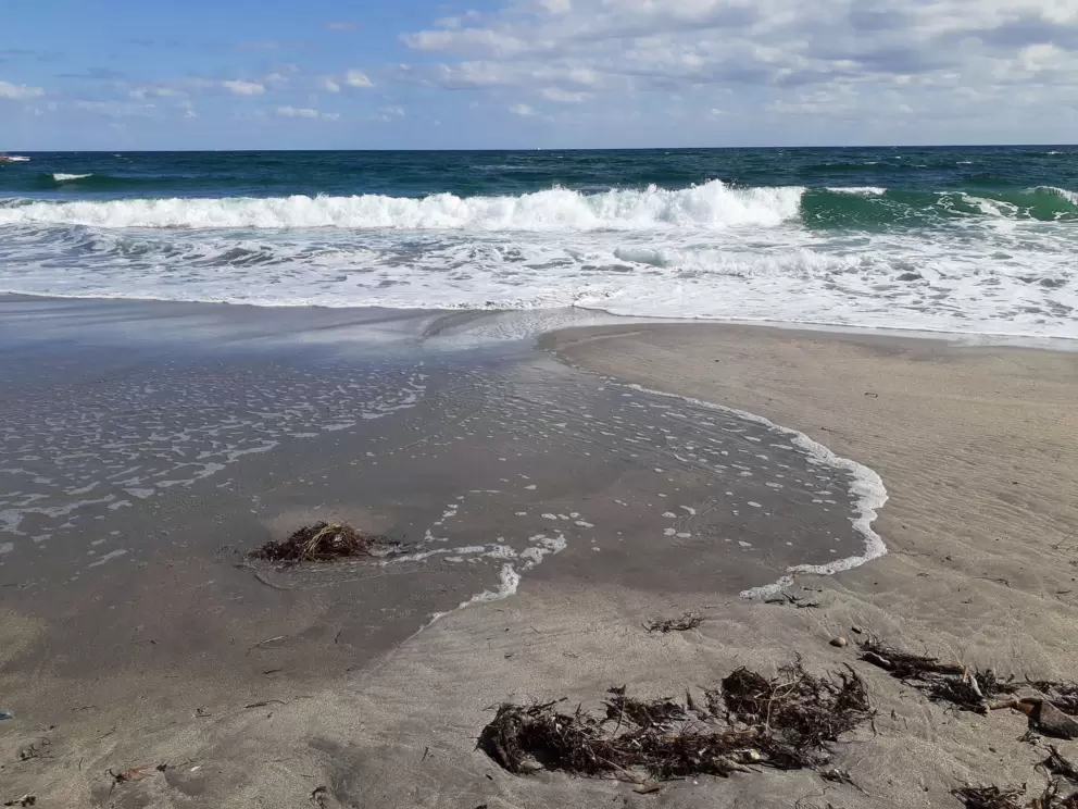 A wave rolls in.