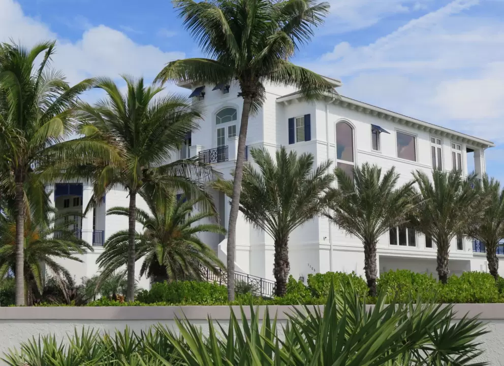 A mansion and palms.
