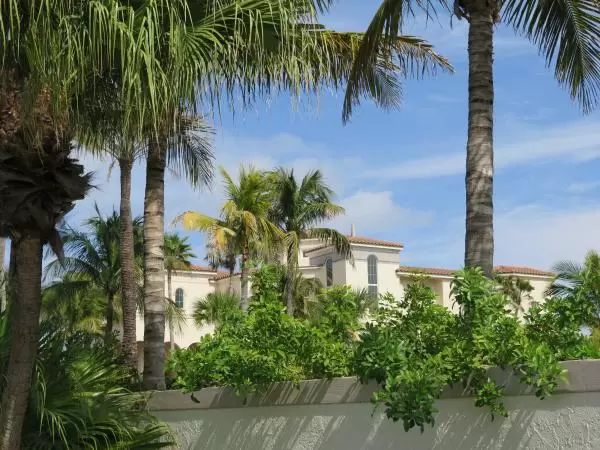 Lovely wall with mansion behind.
