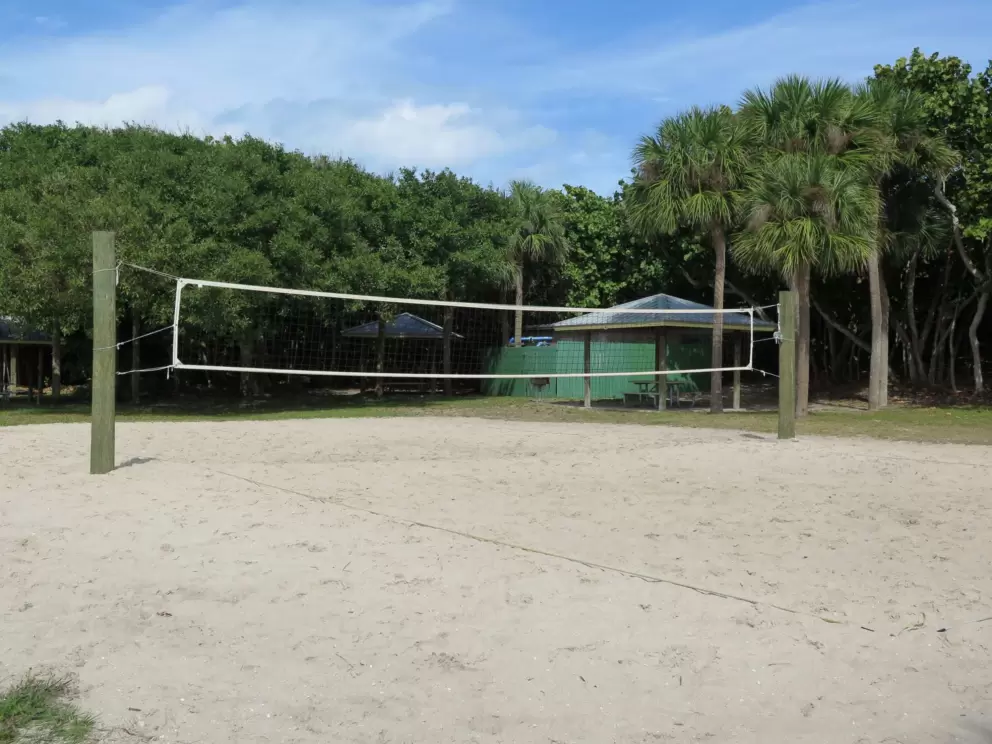 Sand volleyball. 
