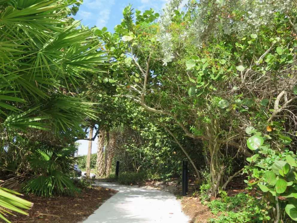 Path between Drift Kitchen and the beach parking.