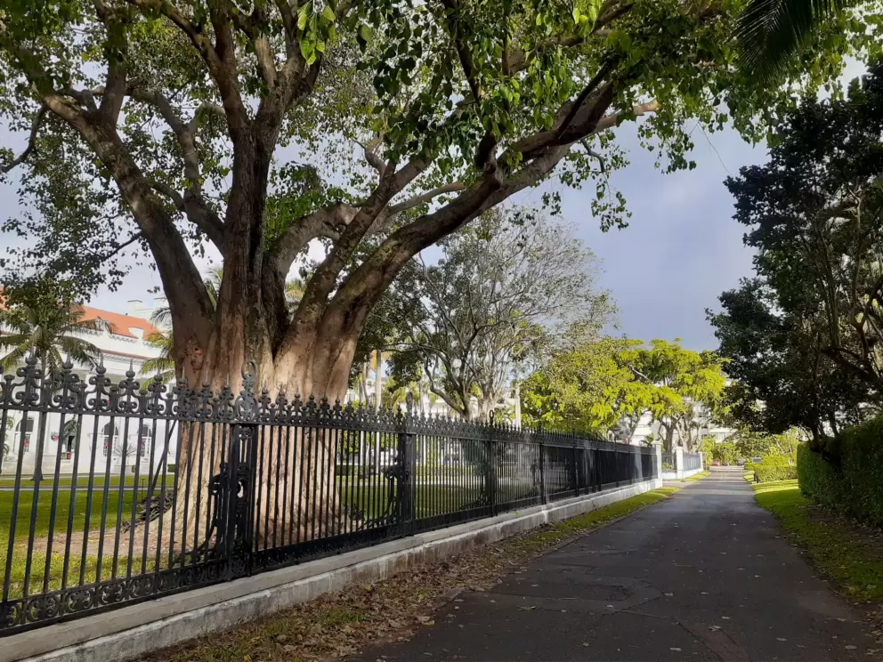The path leads along the Flagler Mansion gate.