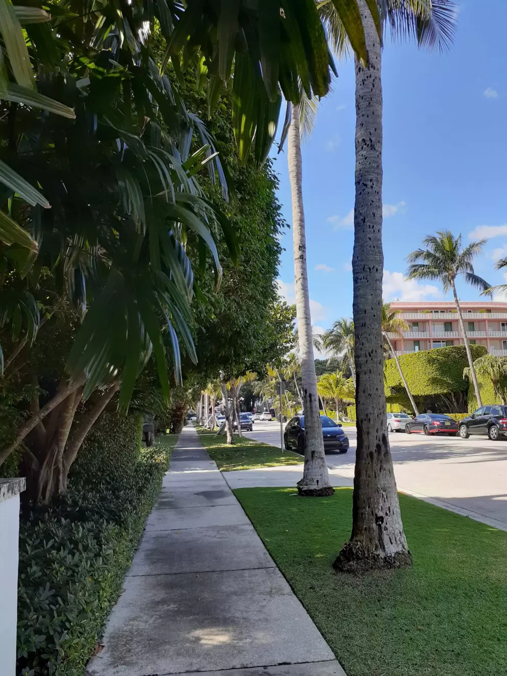 Afternoon shade along the sidewalk.