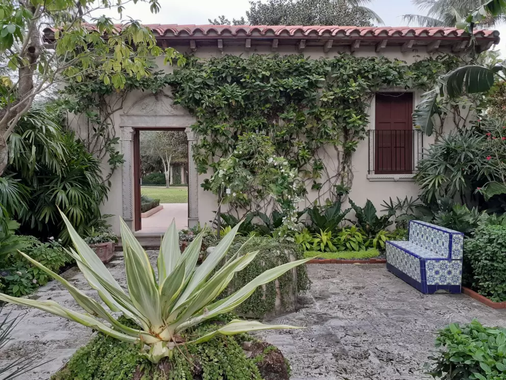 Courtyard with vines.