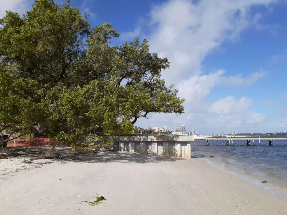 There is a tree at the edge of the intracoastal beach that provides shade.