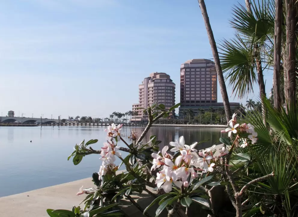 Flowers and modern buildings. 