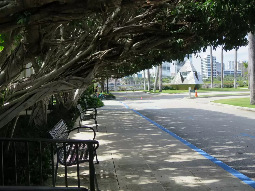Shady path outside Esther B. O'Keeffe Building, with pyramid sculpture and city skyline in the distance.