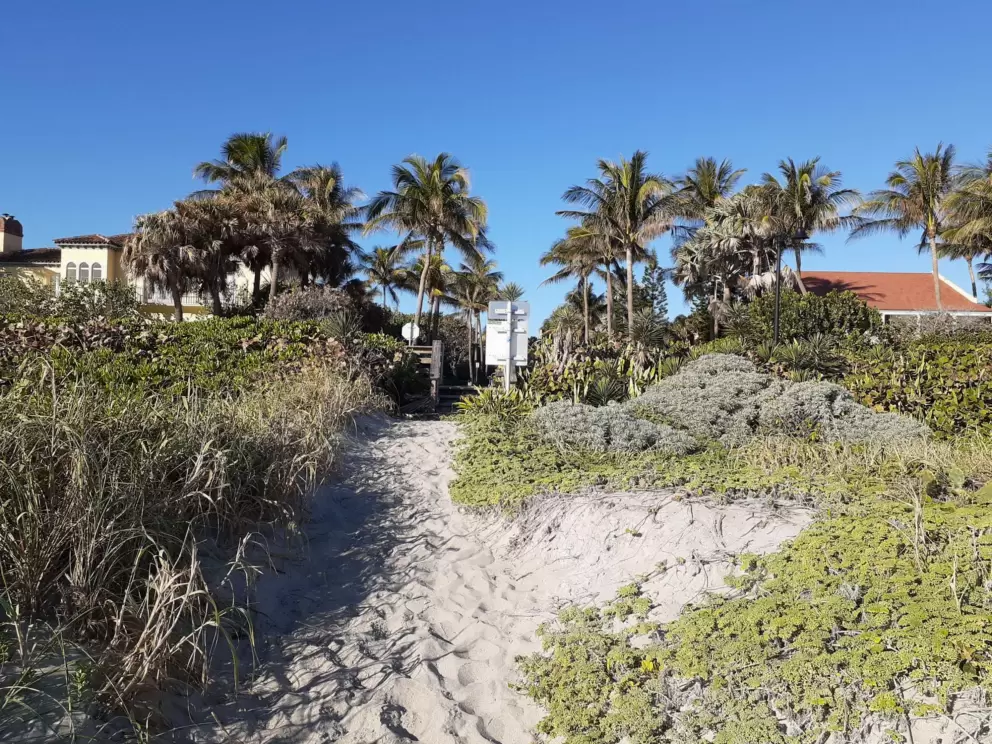 The dunes at the Clarke Ave beach access.
