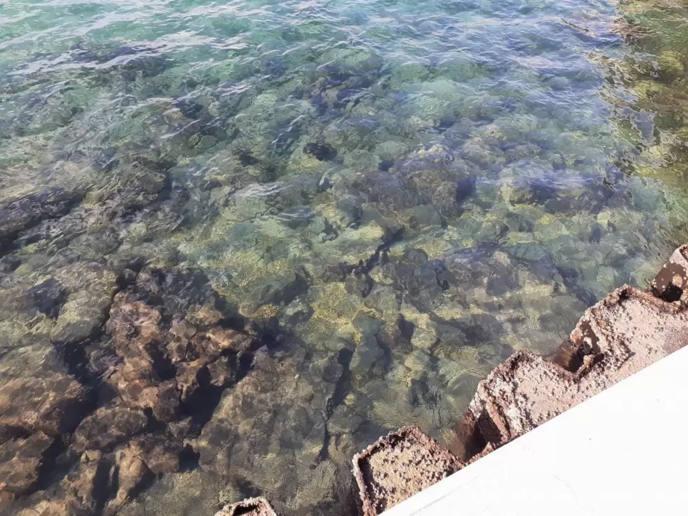 I love to look under the water.
