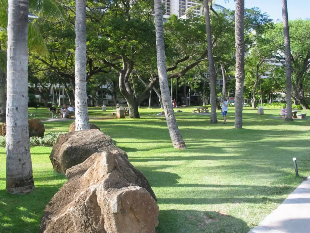 The wonderful palms and boulders on the seaside lawn at the Hale Koa Hotel.